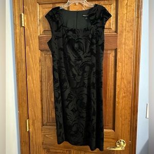 NWOT Connected Apparel Dress with Velvet Floral Print. Size 6.